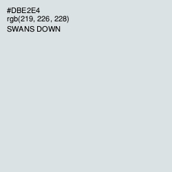 #DBE2E4 - Swans Down Color Image